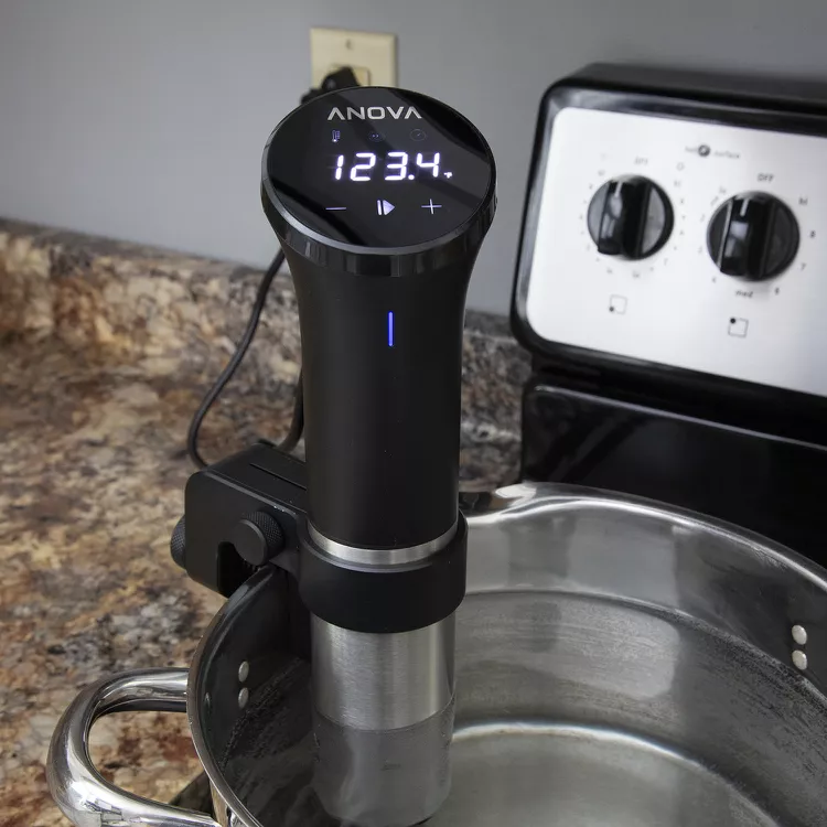 Anova Precision Cooker Review