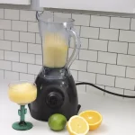 Vitamix One