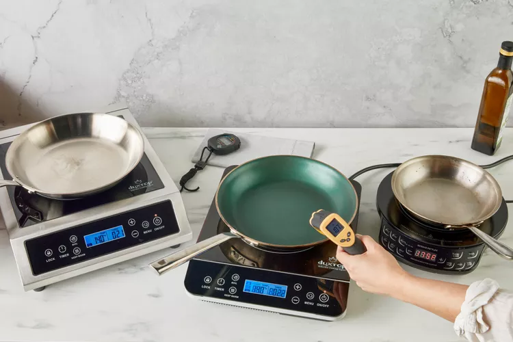 The 10 Best Induction Burners of 2024