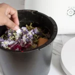 I Tested the Lomi Composter for a Year to Find Out if it’s Worth the Price