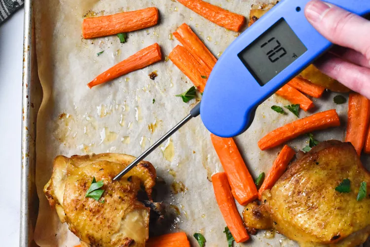 The New ThermoWorks Thermapen ONE Instant-Read Thermometer: Tested and Approved